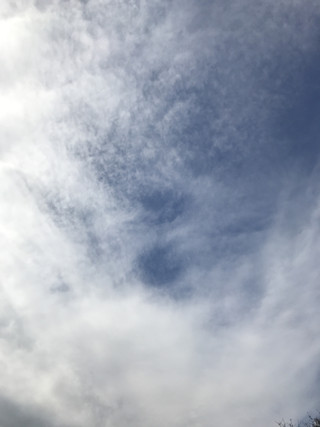 F91e55b96ba94a339f98f475e67f4d6f