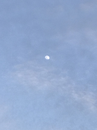 48a514aa03b54d24afd83b2c08414a1b