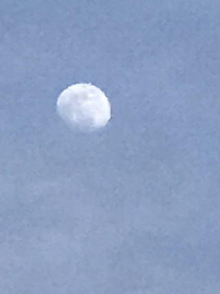 Be742159c0e6498f8798dc936122423f