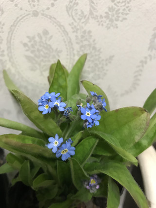 49a2f938134d49edbb2c5e0f3f5ef380