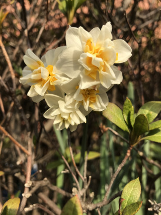 4b2be1fbf9e1431e829ac771a66daceb