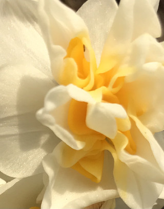 C5d6f1e4d8524139b2ac3da4db0e086f