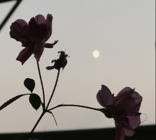 E01307303e744fa7938b21f987923bf2