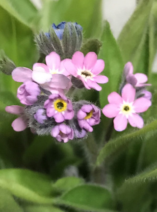 E7b858d4814740b88537d273143ba639