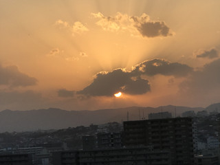 006cbfe5d5234947a660f28d03127c44