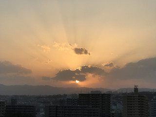 D6008e5359e642c6ad4788322ed3fb03