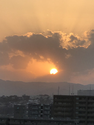 D6d4ea5262844591921711538b587ccf