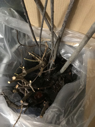 Ad027261ff684915a85b4a242580fde5