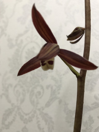 Dfce41d964f541e5ac6cf3eaff2d1132