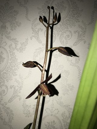 F3db5cb01fd443a2b92422686e813221