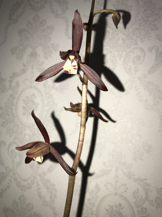 1c7df394edd14188bf5638688289e573