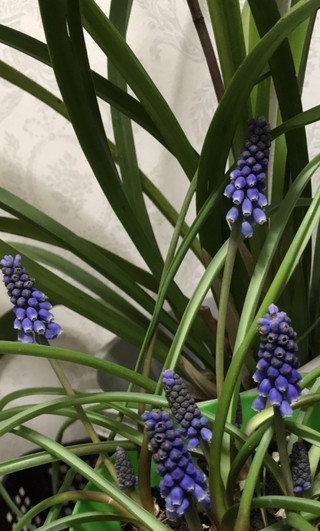 227c13fa4559436698c183ca39aa3e9f