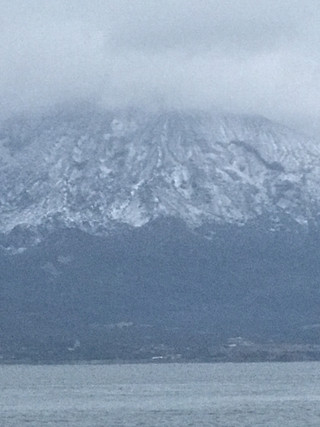 2548cfcd03534965a772de9cd121e299