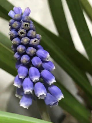 318dd635e89343ae8c3abac5b9896ddb