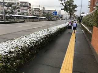 3afaf8a34e2a46fbb4cb6644f7906823