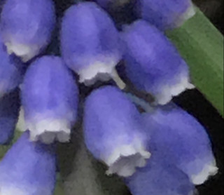 55a4417261964c5889dd847cf0489fcc