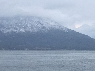 915450662f194042a5ef96e427e4b2af