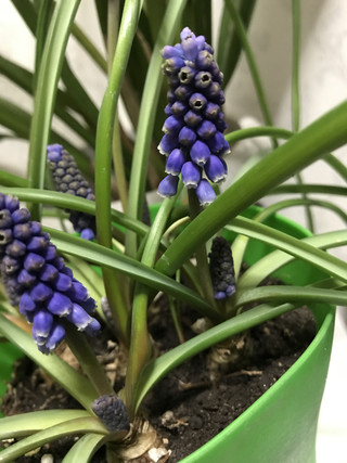 A0c751c7d4fb48a38743718395ef24ab