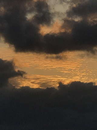 05f50f19ed68438c99a3f566cea7b617