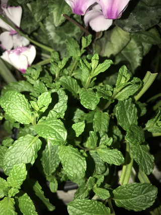 27405673ef9a4a89bdf12af7af17651f