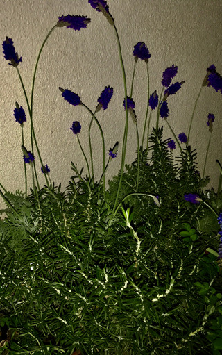 61296749df9e49d7bec1260c830128f6