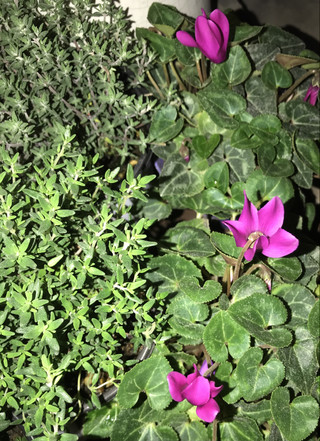 89cf6c29d5684b98b0a9b92ae7525ece