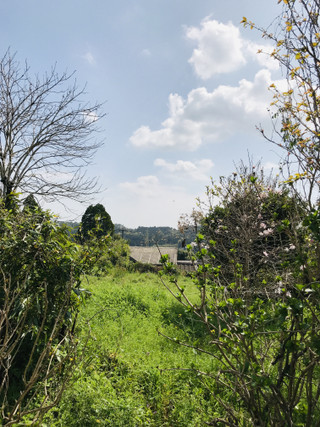 4f1dbcaeb3bf447b8ba9e5c35f69cc41