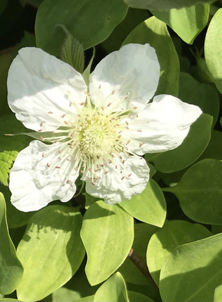 7313585dceda436fb67e26776d6c503e