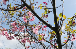 F0c5648ca291407cb5ef85c979b744e2