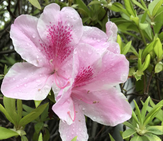 073d6838231f42c2922ba95e82b26a0f 073d6838231f42c2922ba95e82b26a0f