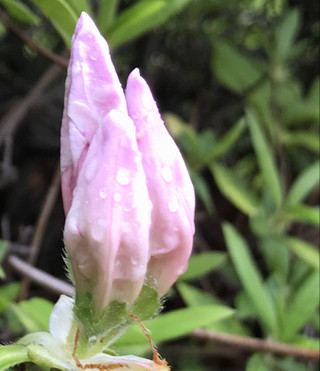 2dbf541bd44e4abea0875fdacfc330ad 2dbf541bd44e4abea0875fdacfc330ad