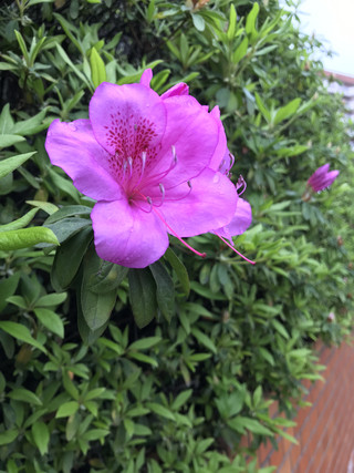 3ed0e7086e704b4abdc8bc791d357ac2 3ed0e7086e704b4abdc8bc791d357ac2