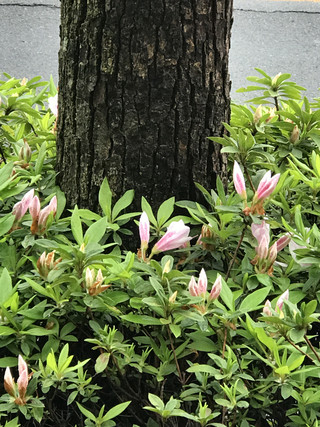 Ad2beef0f83f49a6a7e8ae613c99c18b Ad2beef0f83f49a6a7e8ae613c99c18b