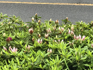 B80f2ee2e32e43b59f018c1f68de42bf B80f2ee2e32e43b59f018c1f68de42bf