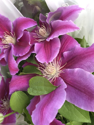 F77f074b27e142a8902f4a45f4c061ee