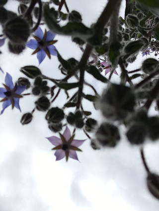 0bfbff5b5d0d4c7a809d2f49646b102f