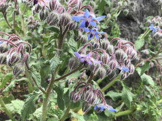 354e20616f464c9db80bf84a9fdae7fe