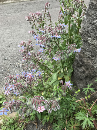 47a6def7ff6e4251bea45edb37730d19