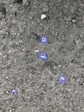 9af1682434cd476fa2664cadb917eca3