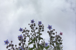 9e39c9aa5b1f4bf4a447423959a3eff4