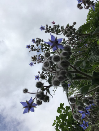 F3087b3893b24a3c9fd8cf589514ff7d