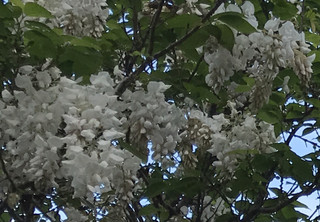 10582050fc764af29771fd8bfbab1d31