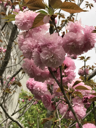 10fcf3e3dc734635aa13ab9f41bf32ad