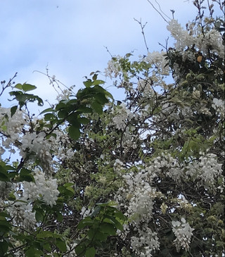 27549765e83f4df5aed96fe85bd27bea