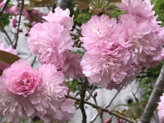 A881753ef3fd44ff97d7ab750e245be1