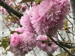 B001e00e582348598d64cd94a24b4032