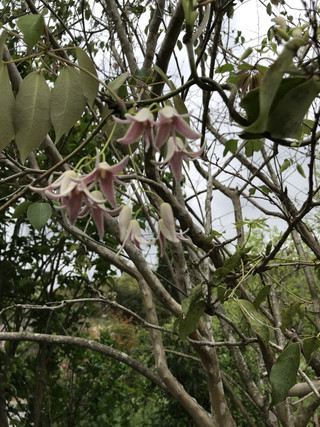 Eb3e4265f6314e0887b1f83f6fb133a8