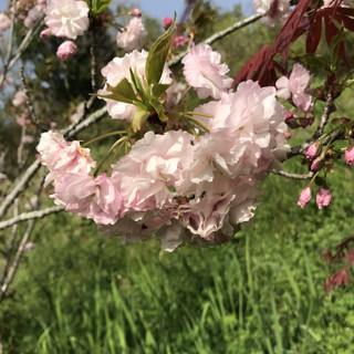 0c9ef26923734964859d8675cf4c9b8c 0c9ef26923734964859d8675cf4c9b8c