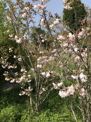 1bb380cf9bda40798f95bc3c78286d8c 1bb380cf9bda40798f95bc3c78286d8c