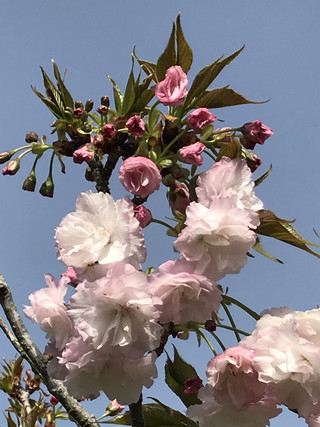 2c7290a86f81457bb0c460bcde3d3903 2c7290a86f81457bb0c460bcde3d3903